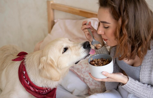 Natural Pet Food: What You Need to Know